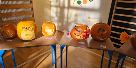 Powiększ grafikę: dzien-dyni-651208.jpg