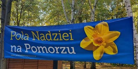 Powiększ grafikę: pola-nadziei-na-pomorzu-2027-718043.jpg