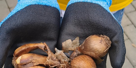 Powiększ grafikę: pola-nadziei-na-pomorzu-2027-718045.jpg