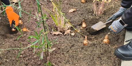 Powiększ grafikę: pola-nadziei-na-pomorzu-2027-718050.jpg